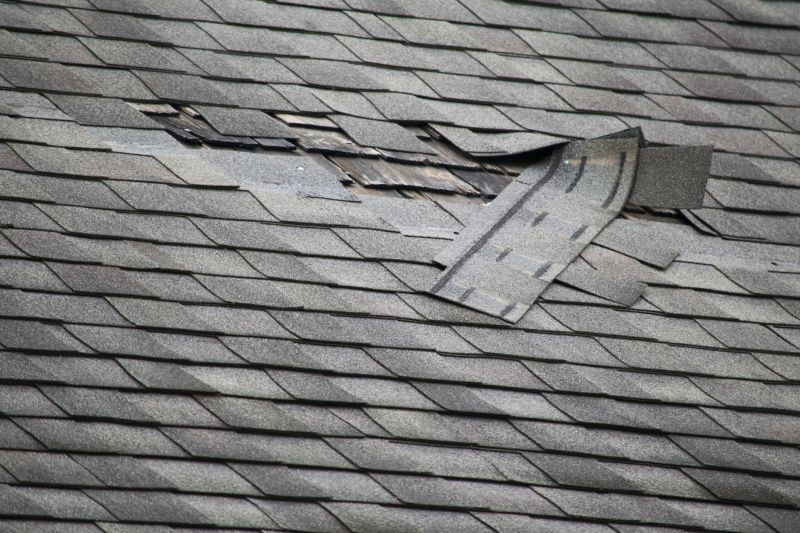 Replacing Broken Shingles