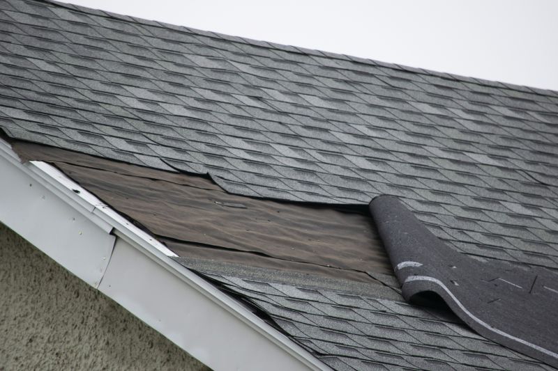 New Asphalt Shingles Installation